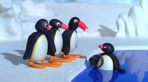 Pingu sukeltaa (S): 15.10.2018 07.34