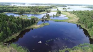 Luonto lähellä: 15.10.2018 08.30