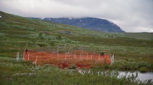 Luontomatkalla: 19.10.2018 09.00