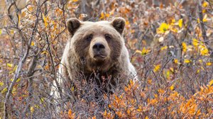 Kesä: 22.10.2018 06.00