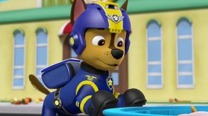 Pennut ja lentävät eväät / Iso pyörä pyörii (S): 21.10.2018 08.10