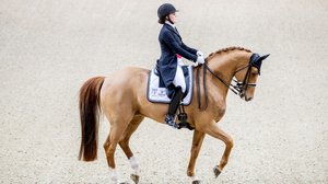 Horse show lördag, dressyr (svenskt referat): 20.10.2018 14.19