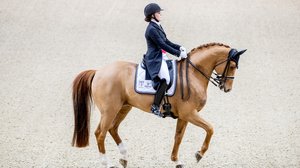 Horse Show 2018, kouluratsastuksen GP: 20.10.2018 13.30