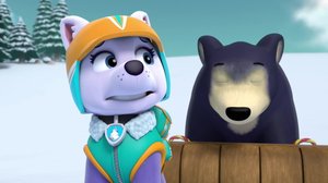 Pennut pelastavat nukkuvan karhun / Pennut pelastavat ratsastaja-Rampan (S): 28.10.2018 08.13