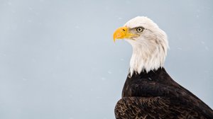 Talvi: 29.10.2018 06.00