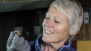 Vaistot: 03.11.2018 08.50