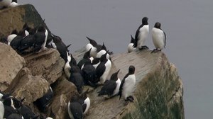 Luontomatkalla: 02.11.2018 09.00