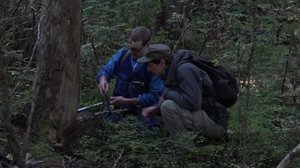 Luonto lähellä: 05.11.2018 09.25