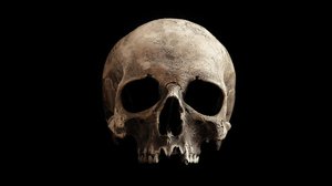 Hyviä kysymyksiä: Miksi monessa lajissa on pallo?: 06.11.2018 16.15