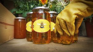 Ruohonjuuritasolla (S): 08.11.2018 18.54