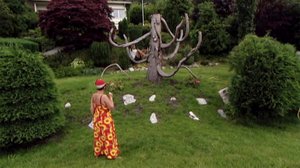 Iloa puutarhasta: 09.11.2018 10.00