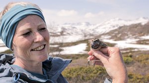 Aistit: 10.11.2018 08.50