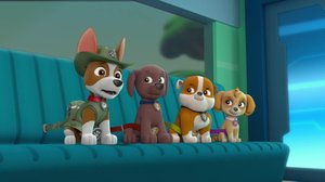 Pennut ja Iso Pörrö / Pennut pelastavat lentäjäkissan (S): 11.11.2018 08.10