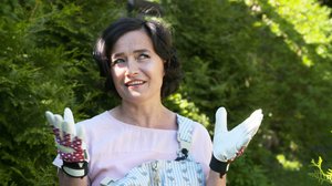 Tulopäivä: 10.11.2018 00.01