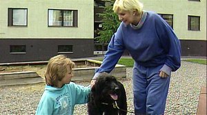 Koiran elämää (S): 15.11.2018 00.09