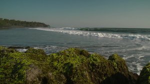 Ayun päivä: "Moni haluaisi asua Balilla, mutta luovuttaa.": 12.11.2018 07.00