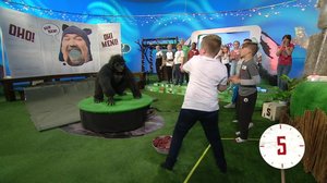 Lima-Turska: 17.11.2018 09.31