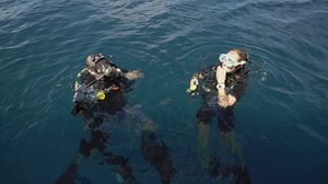 Luontomatkalla: 16.11.2018 09.00