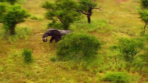 Afrikan kierros: 19.11.2018 10.00