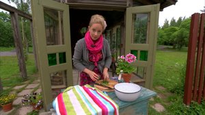 Piharatamo: 18.11.2018 20.54