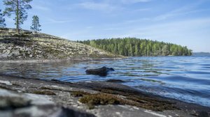 Vesistöjen pinnat ovat poikkeuksellisen matalalla: 20.11.2018 11.14