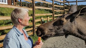 Älykkyys: 24.11.2018 08.40