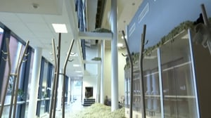 Yle Uutiset selkosuomeksi: 21.11.2018 15.05