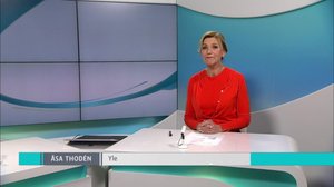 Yle Nyheter TV-nytt: 21.11.2018 17.55