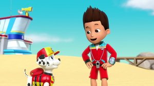 Meripartio: Pennut ja tursaan poika (S): 25.11.2018 08.08