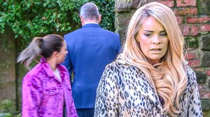 Ovelia juonia (7): 23.11.2018 06.00