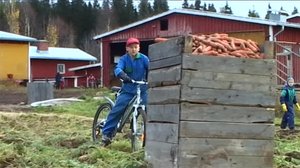 Porkkanat: 26.11.2018 07.07