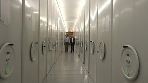 Luonto lähellä: kansallinen hyönteiskokoelma: 26.11.2018 08.48