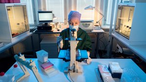 Siemenet jakoon (S): 03.12.2018 00.01