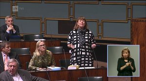 Eduskunnan kyselytunti: 29.11.2018 16.00