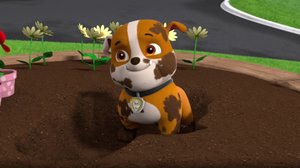 Kattikuusikko kateissa / Pennut pelastavat pikku Sampan (S): 02.12.2018 08.12