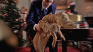 Sauli Niinistön joulukalenteri: 03.12.2018 00.01