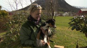 Norjaa ristiin rastiin: 02.12.2018 10.25