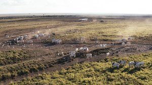 Etelä-Afrikka: 04.12.2018 19.00