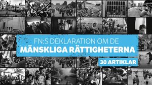 FN:s deklaration om de mänskliga rättigheterna: 05.12.2018 13.58