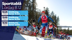Världscupen i skidskytte, damernas sprint (svenskt referat): 08.12.2018 16.40