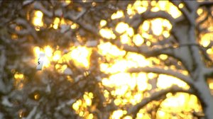 Beitostölen, naisten viesti: 09.12.2018 11.25