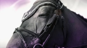 Ratsastuksen maailma: 10.12.2018 15.00