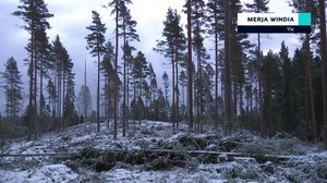 Yle Uutiset selkosuomeksi: 12.12.2018 15.05