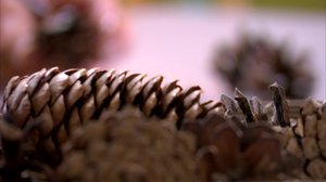 Tee itse pieniä joululahjoja: 16.12.2018 10.25