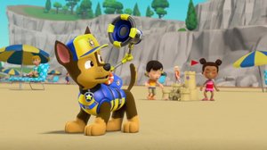 Meripartio: pennut pelastavat hain / Meripartio: Pennut pelastavat laiturin (S): 16.12.2018 08.10