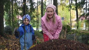 Eläimet: 21.12.2018 01.00