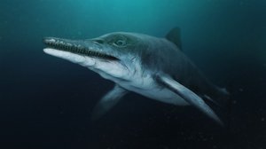 Prisma: Attenborough ja merihirviö: 26.12.2018 06.00