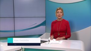 Yle Nyheter TV-nytt: 22.12.2018 17.55