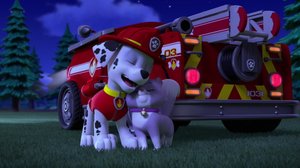 Hali-kissa kadoksissa / Pennut pelastavat pilvisurffarin (S): 30.12.2018 08.20