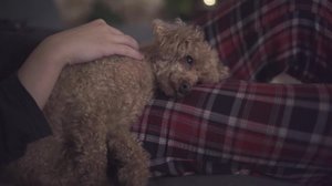 Maailman pikku söpö tyttö: 28.12.2018 02.00